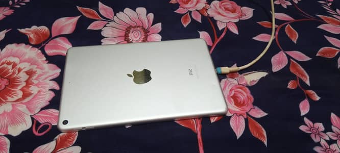 I pad mini 5