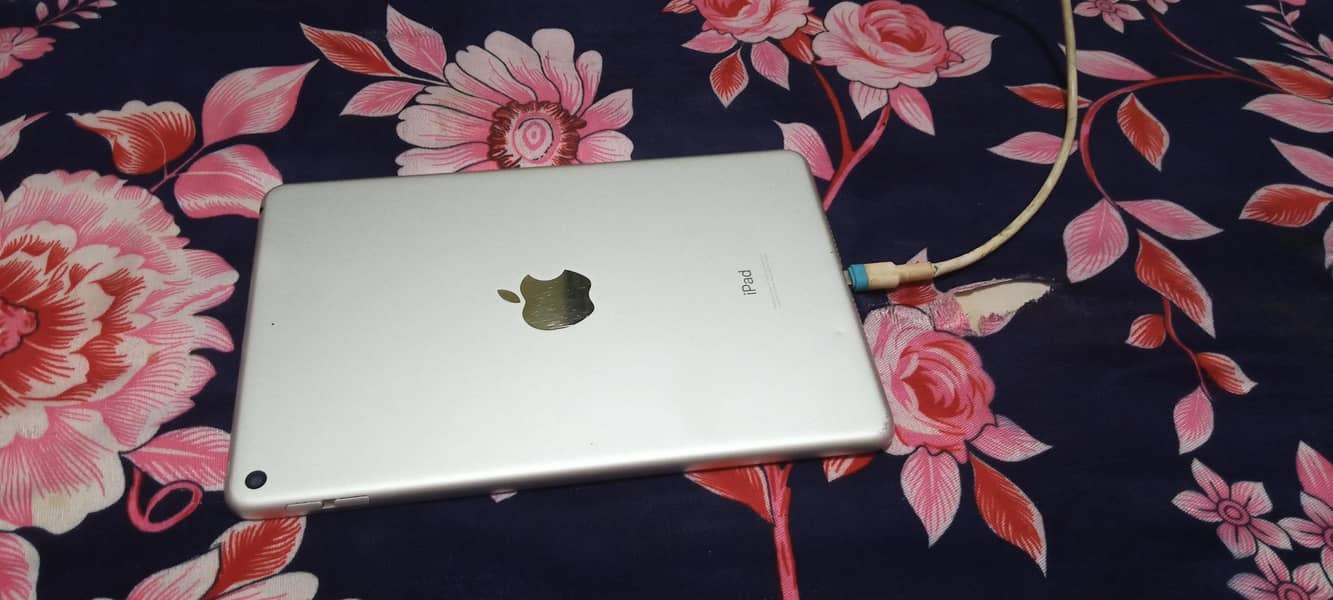 I pad mini 5 0