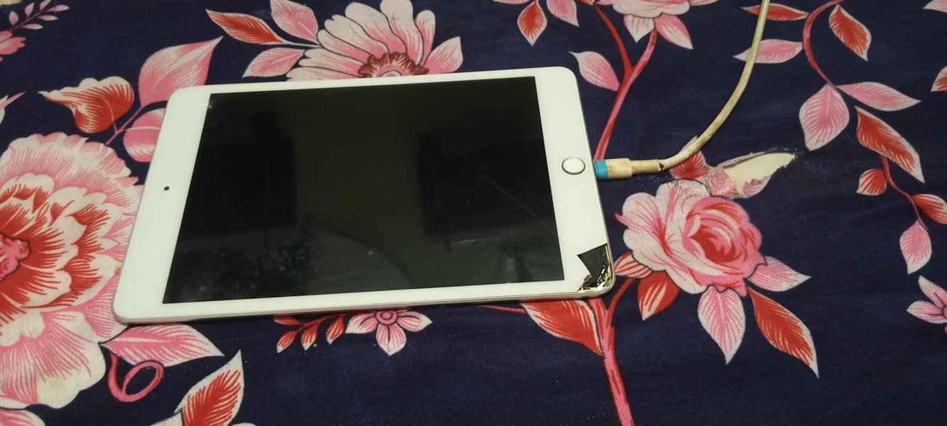 I pad mini 5 1