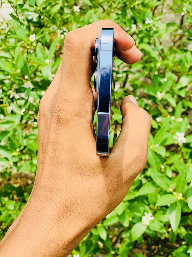 Apple iPhone 13 Pro Max 0