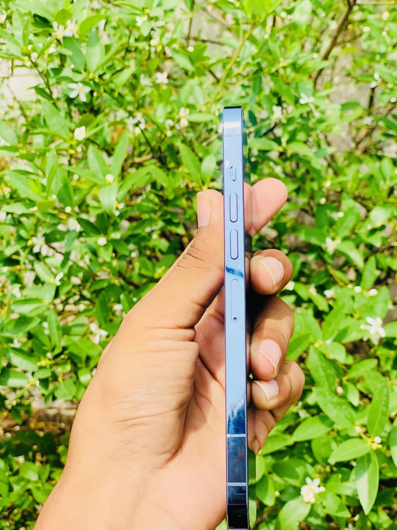Apple iPhone 13 Pro Max 1