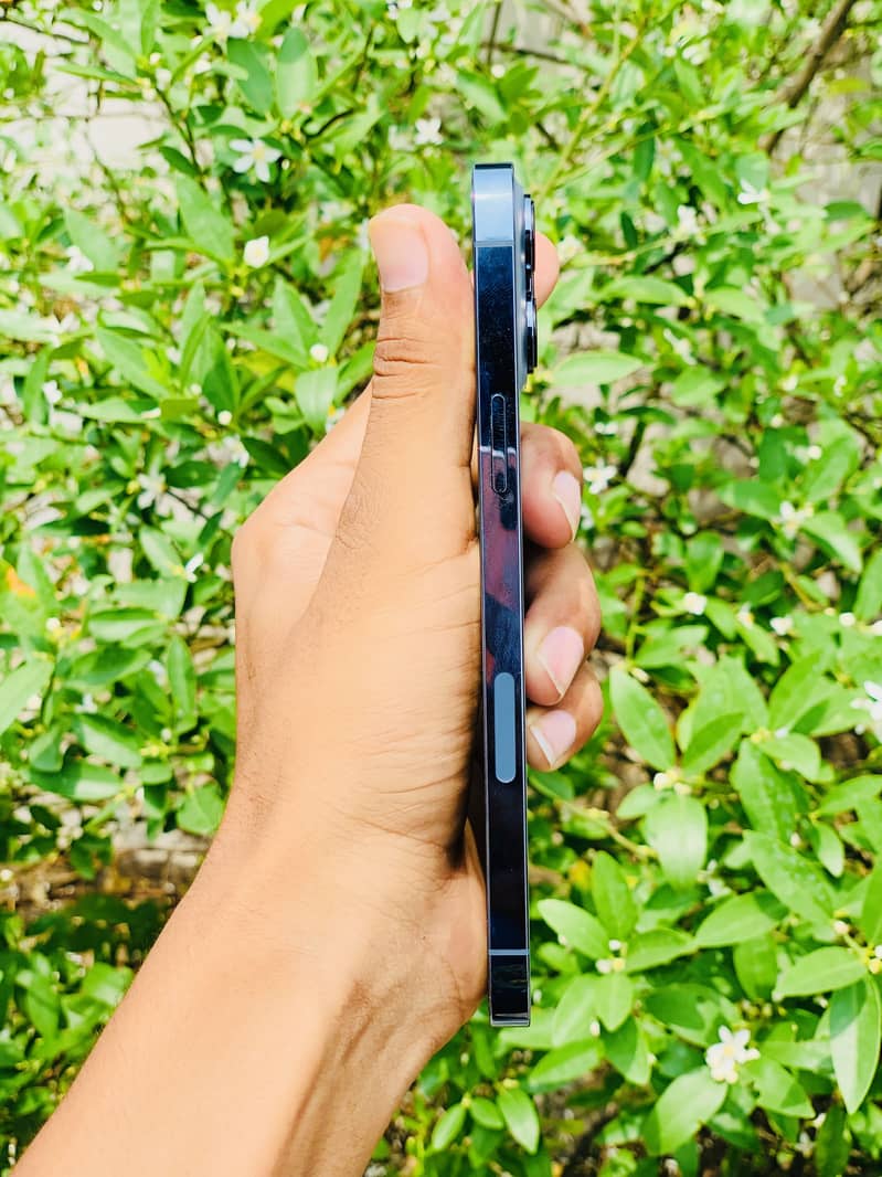 Apple iPhone 13 Pro Max 2