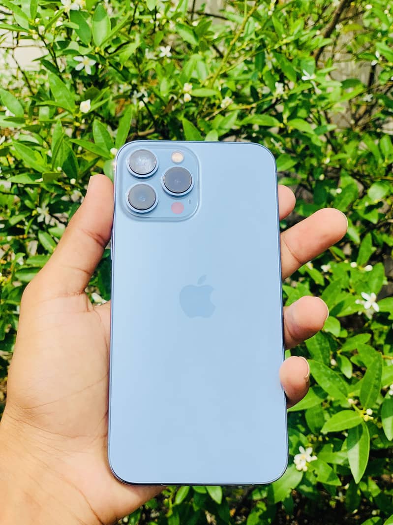 Apple iPhone 13 Pro Max 3