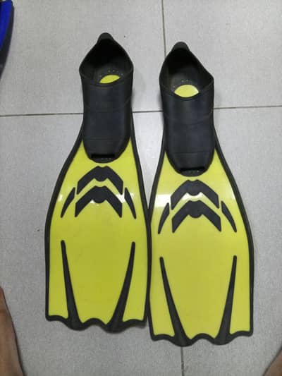 swimming fins