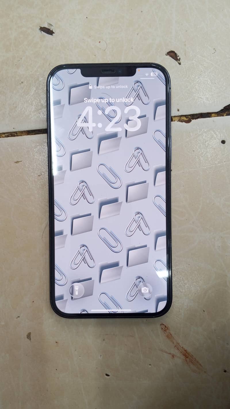Apple iPhone 12 Pro Max 1