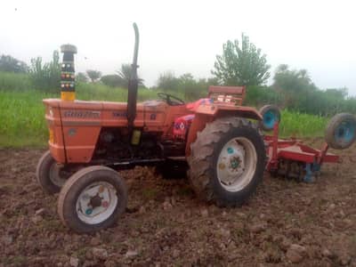 ghazi for sale