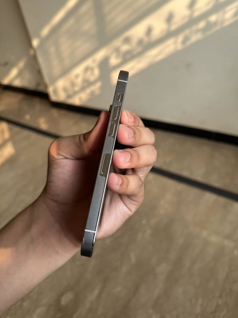 Apple iPhone 14 Pro 13