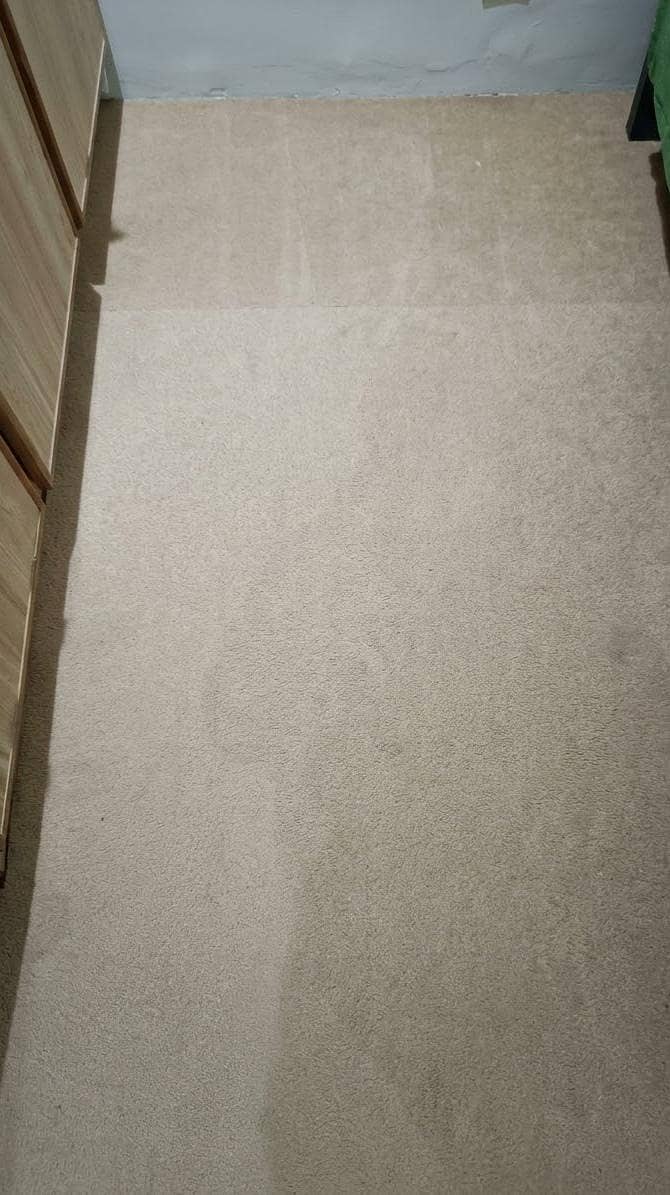 Complete Room Carpet 1