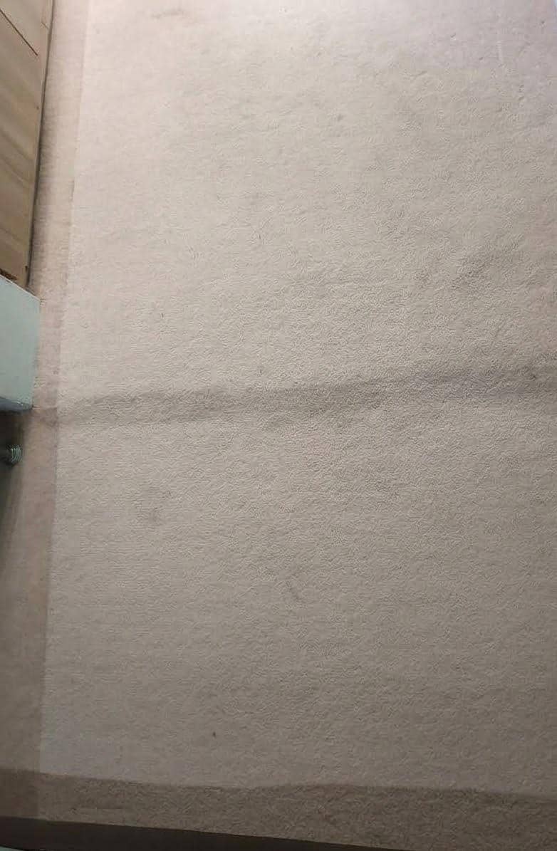 Complete Room Carpet 2