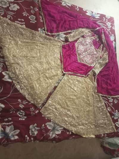 pilazu wi short shirt