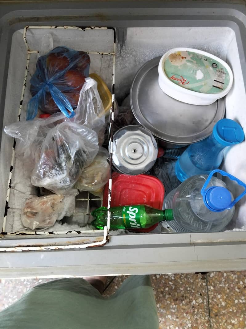 Freezer 4