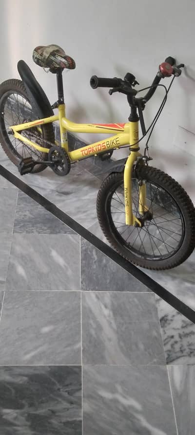 Top Kids Mountain Bike – 20-Inch Fat Tire Kids Bicycle