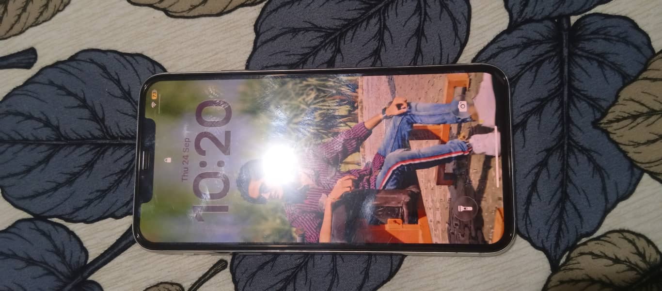 Apple iPhone 11 Pro Max 1
