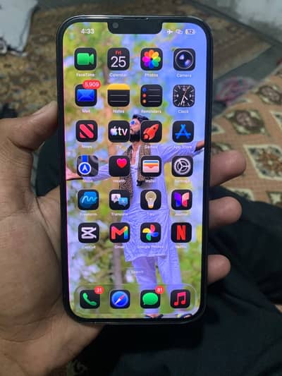 Apple iPhone 13 Pro Max