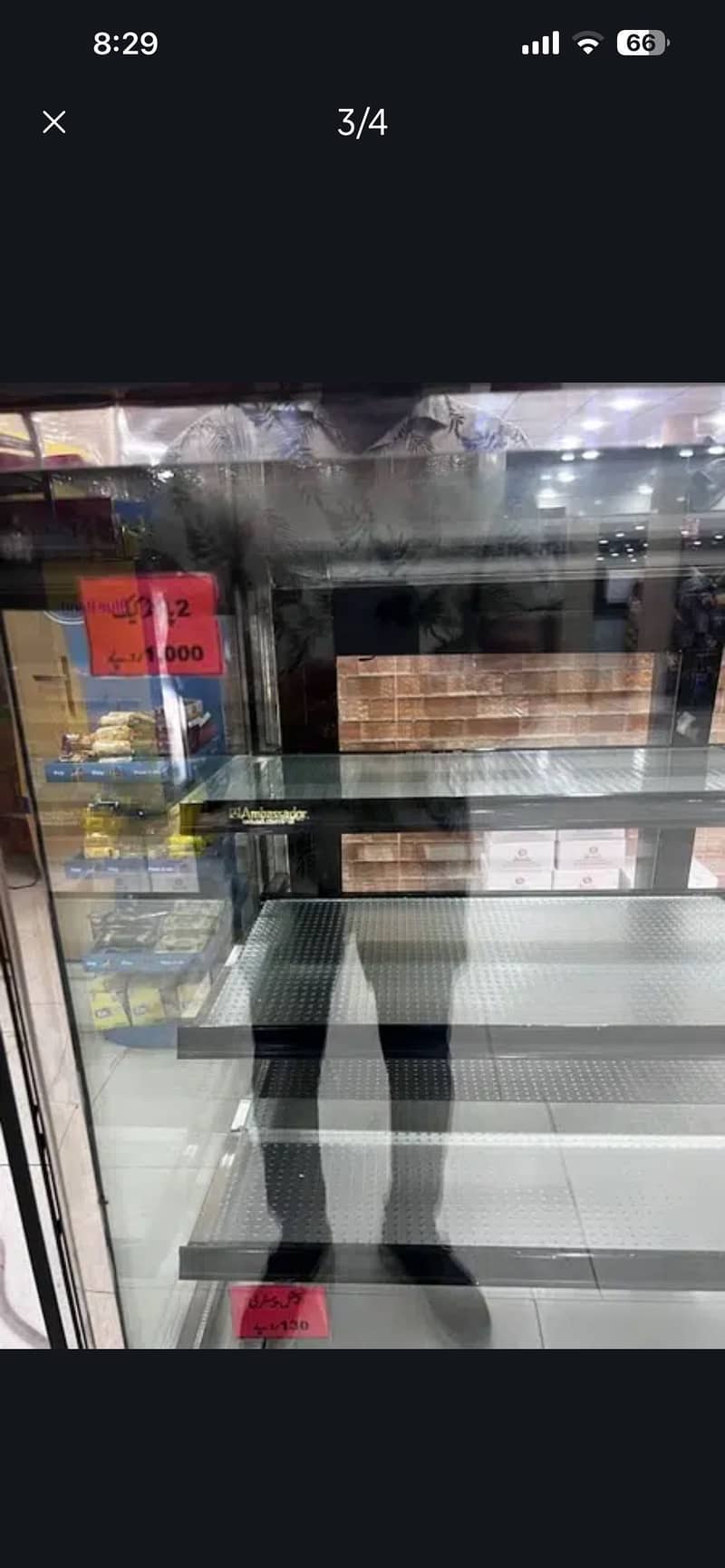 bakery display counters 1