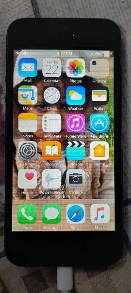 IPhone 5 0