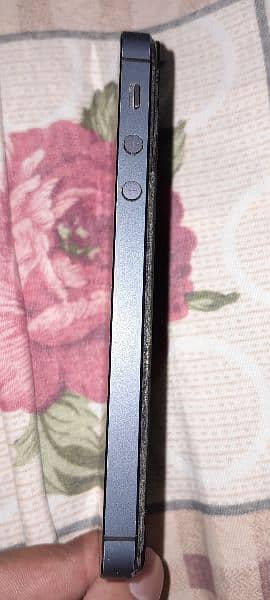 IPhone 5 2