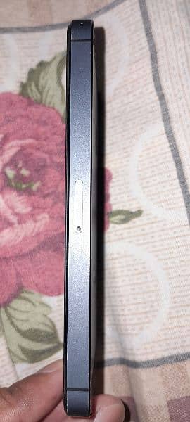 IPhone 5 3