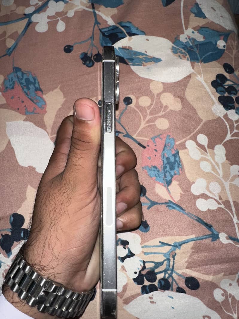 Apple iPhone 12 Pro Max 1