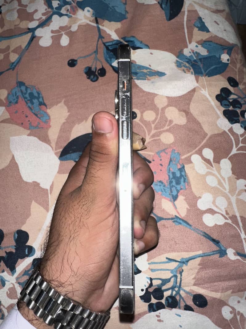 Apple iPhone 12 Pro Max 2