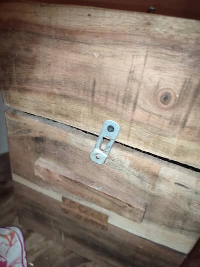 ALEXANDER PARROT BREEDING BOX