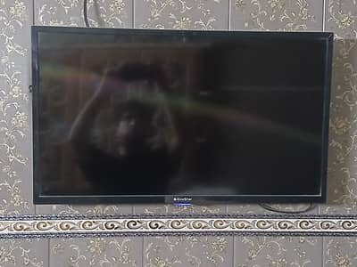 Ecostar led