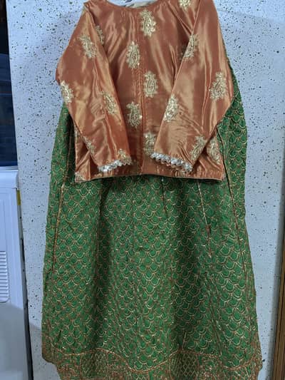 Beautiful Embroidered Lehnga & Blouse