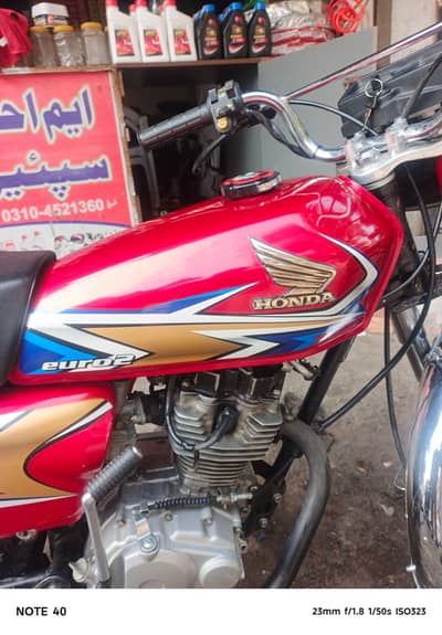 phone number 03194466802