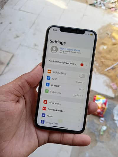 Apple iPhone X
