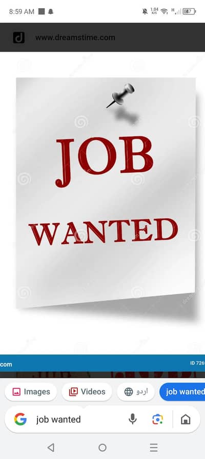 job wanted