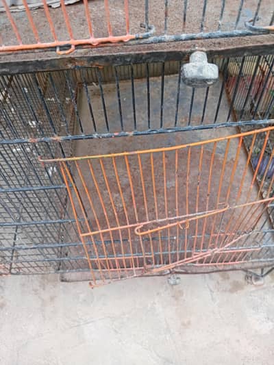 animal cage rusty condition 10/7