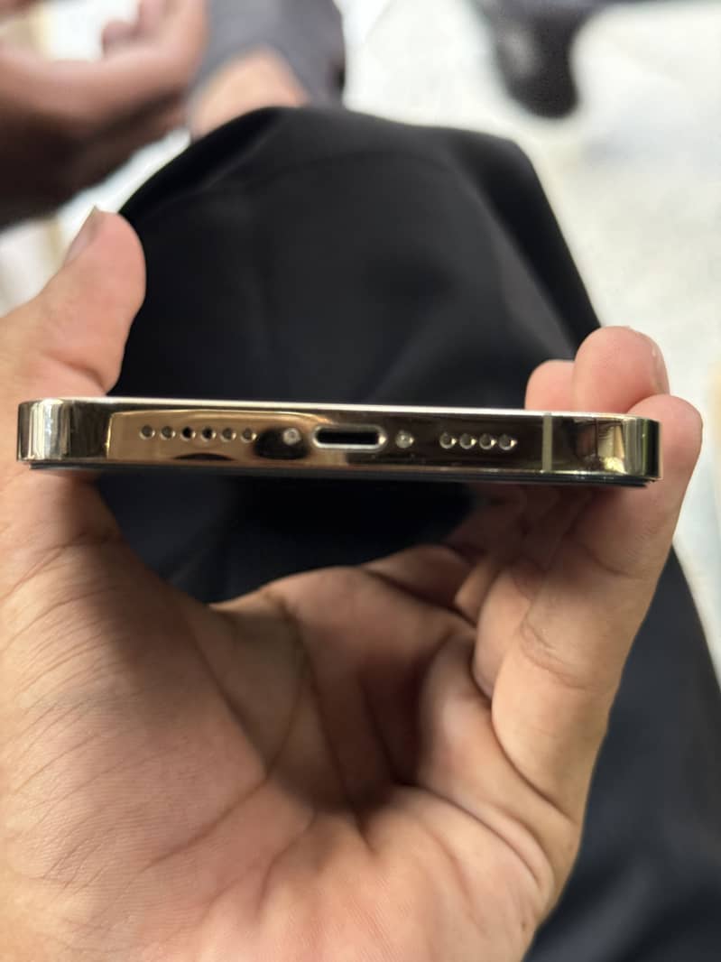 Apple iPhone 12 Pro Max 1