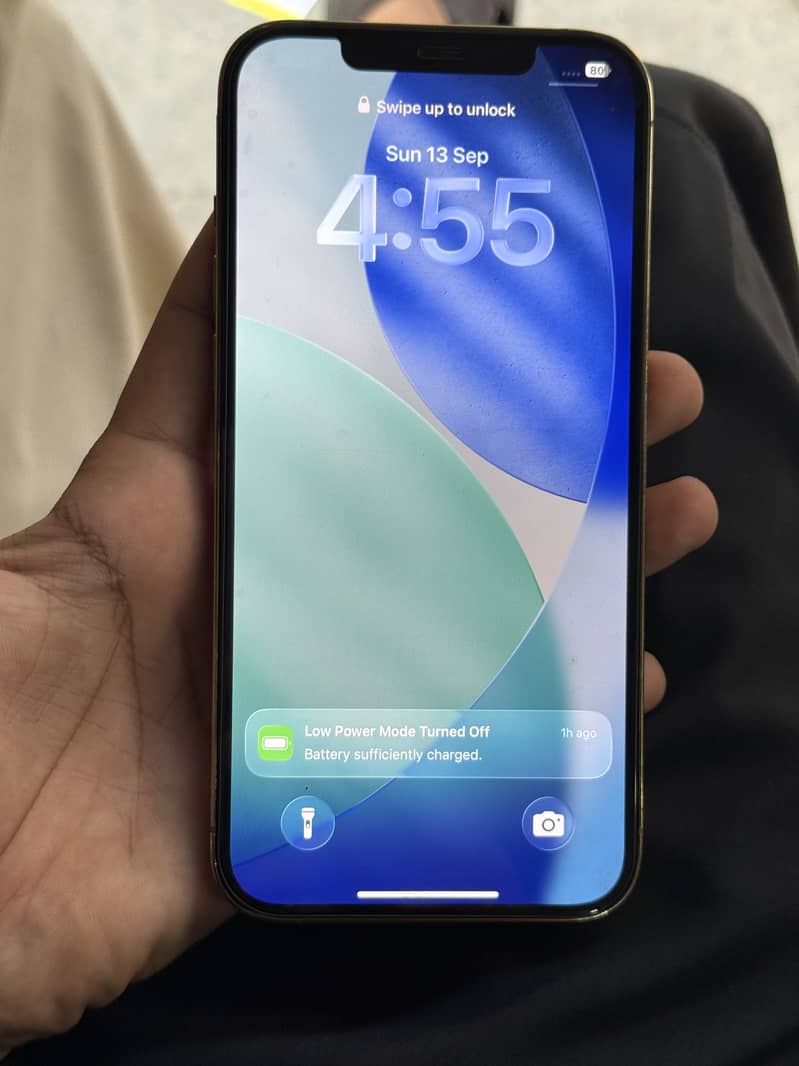 Apple iPhone 12 Pro Max 2