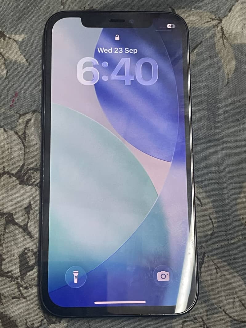 Apple iPhone 12 Pro 4
