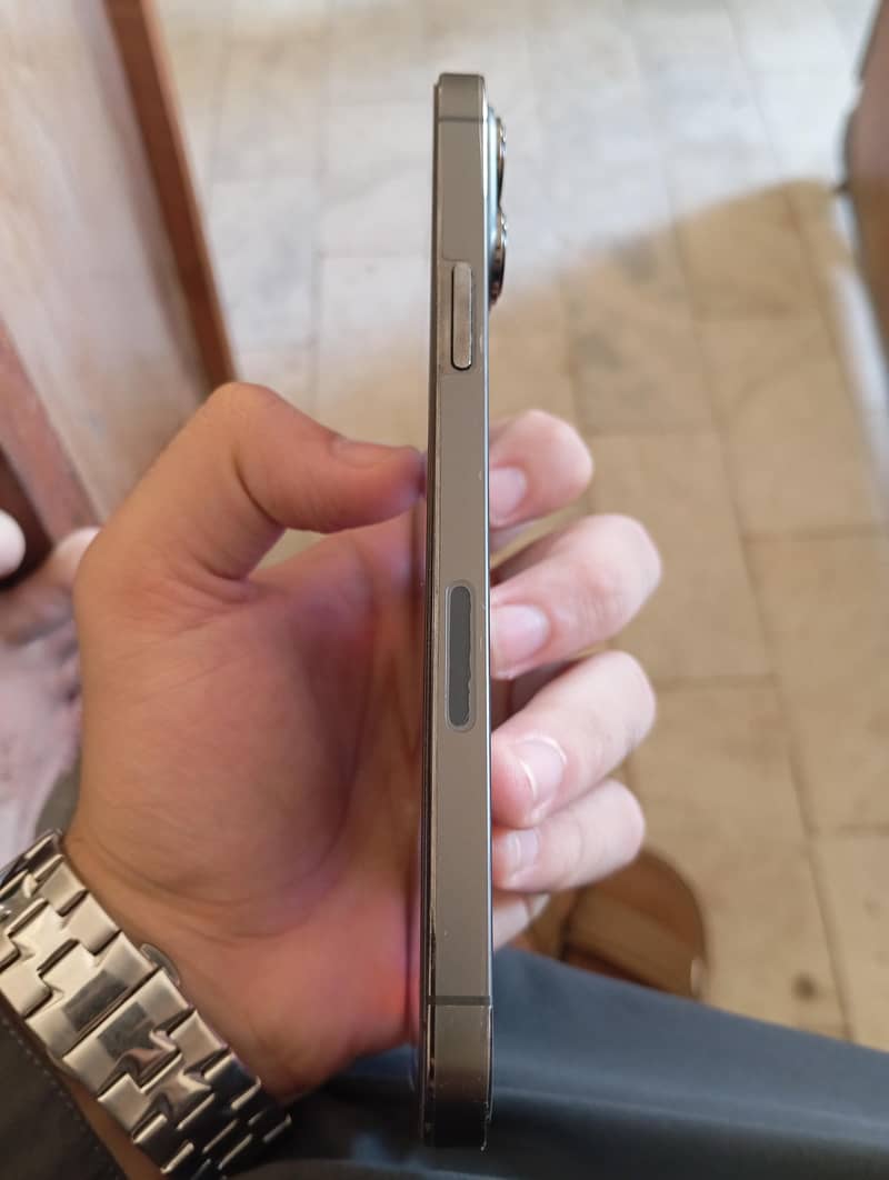 Apple iPhone 13 Pro Max 1