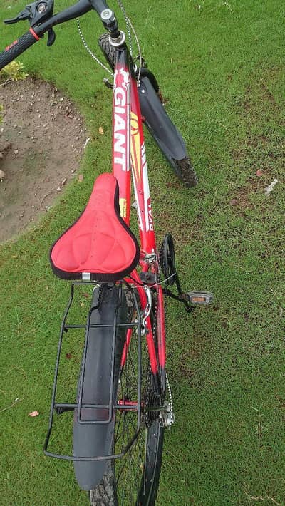 Sports cycle