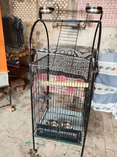 raw and ring neck grey parrot cage