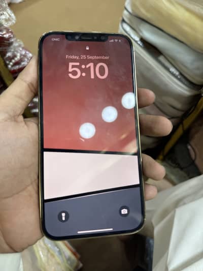 Apple iPhone 12 Pro Max
