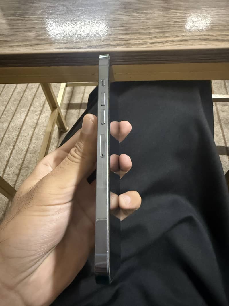 Iphone 13 pro max 1
