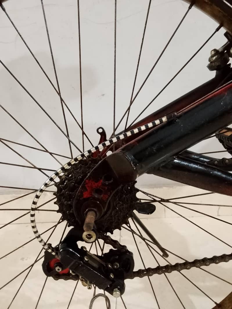 cycle 3