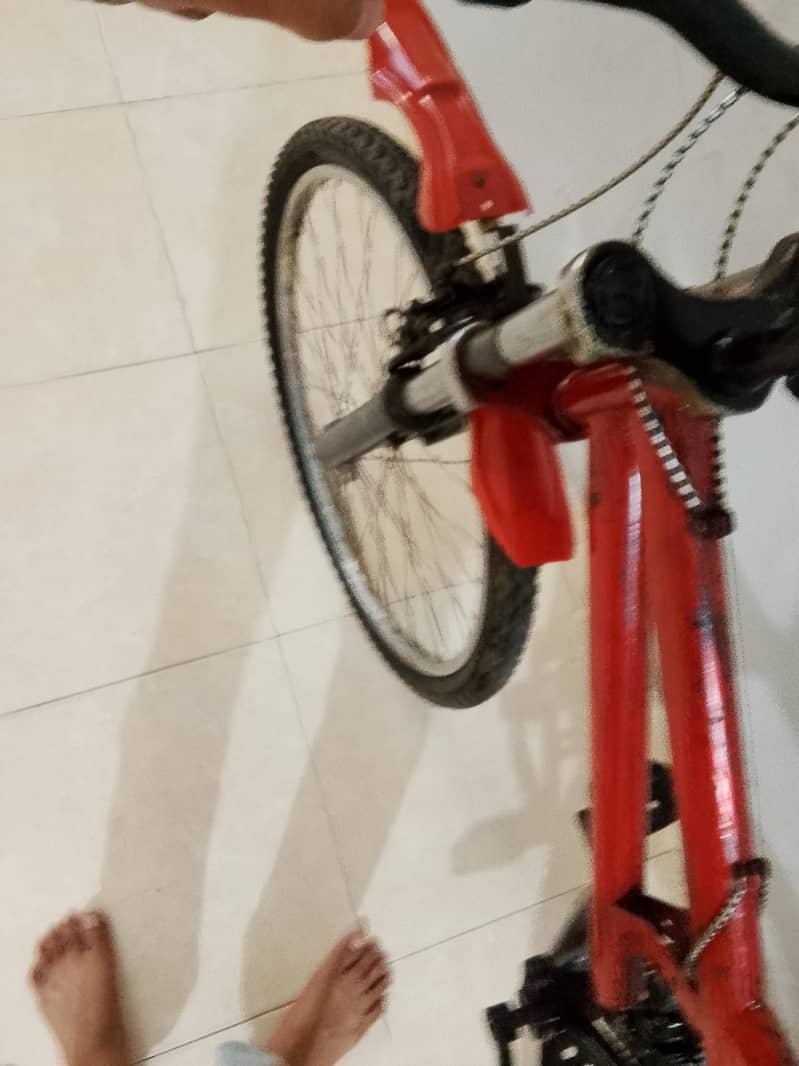 cycle 4
