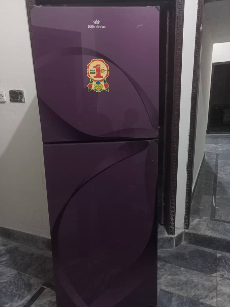 Electrolux fridge 0