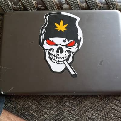 Dell Latitude 3380