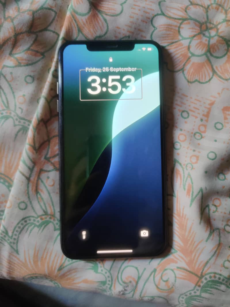 Apple iPhone XS Max 1