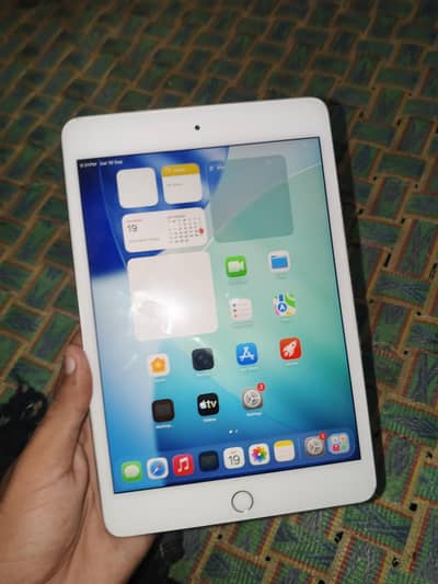 ipad mini5 256gb