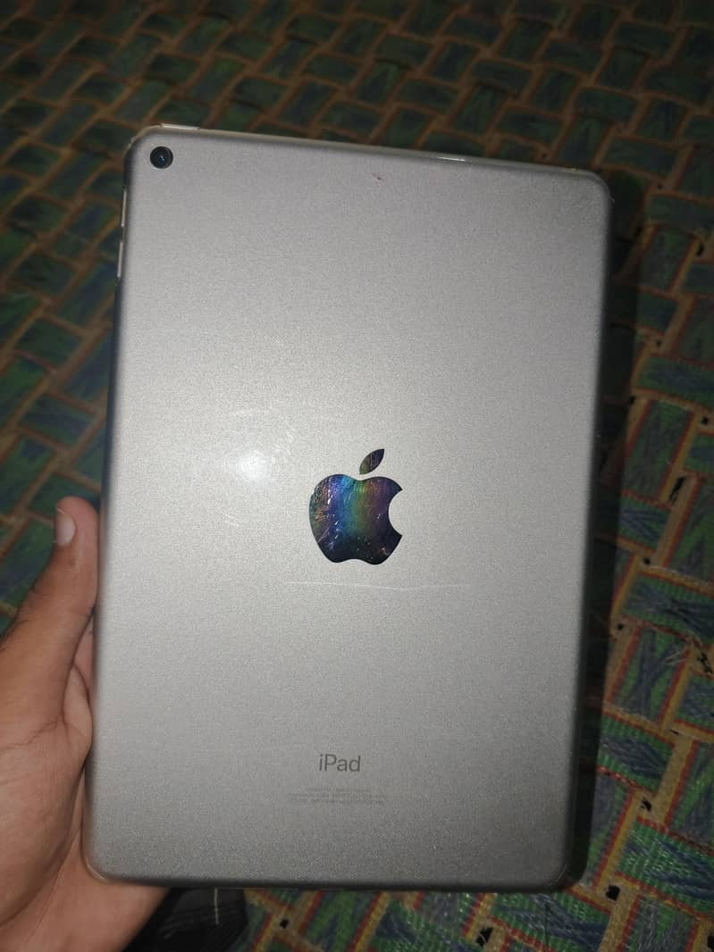 ipad mini5 256gb 1