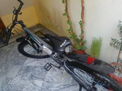 Roxy bicycle with 7 gears