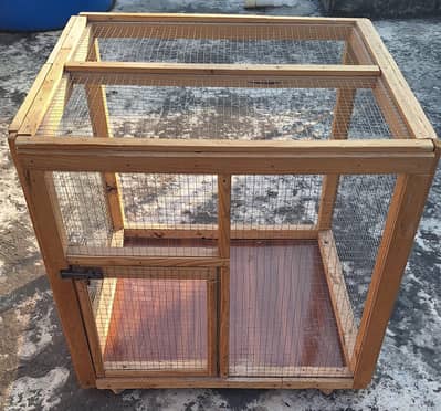 Birds cage