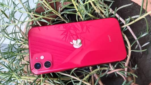Apple iPhone 11