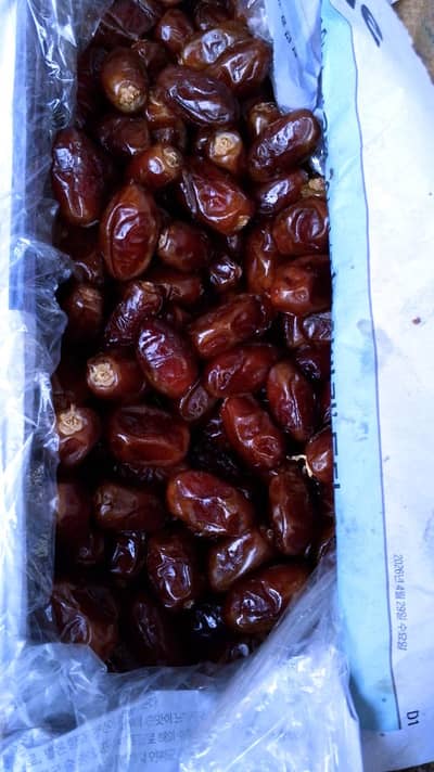 fresh Aseel Khajoor wholesale per mann rate bulk stock available in ba